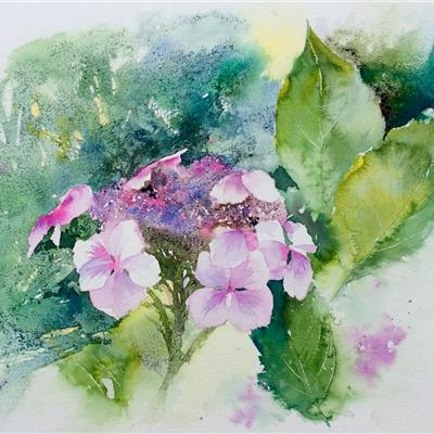 HYDRANGEA 12 X 14.5 inches