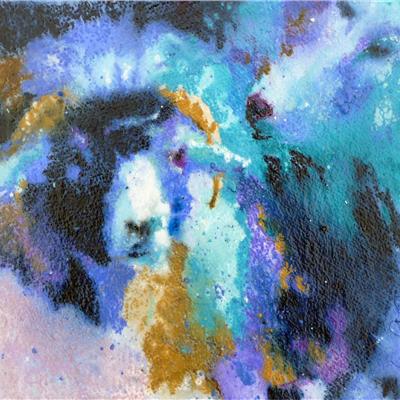 Looking at Ewe 10 X 12 INCHES