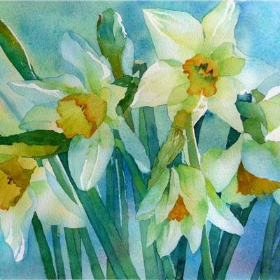 Easter Daffs 11 x 15 inches