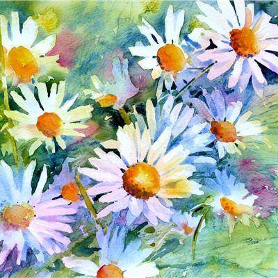 Summer Daisies